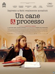 Un cane a processo